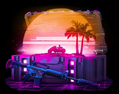 Любимый кейс