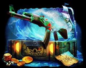 Пираты Карибского моря case