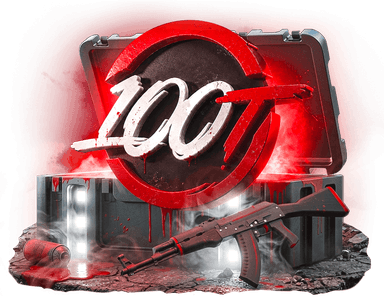 100 Thieves case