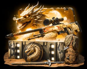 История о драконе case