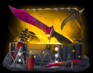 Нелегальная поставка case