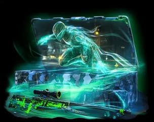 Кибернетический призрак case