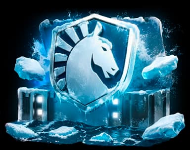 Liquid case